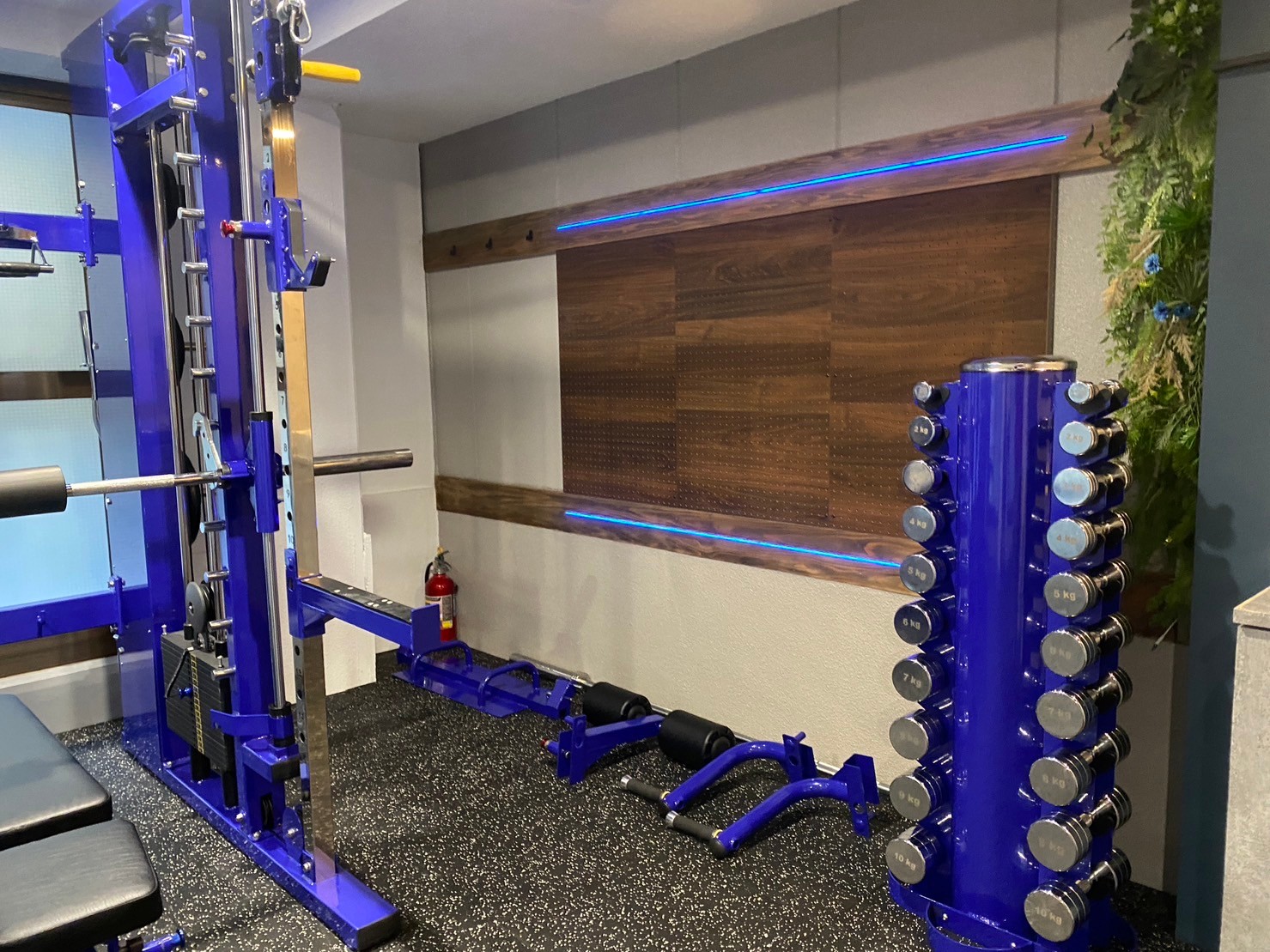 GOODLIFE GYM 西荻窪善福寺店の写真 2